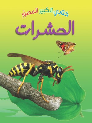 cover image of كتابي الكبير المصور. الحشرات
